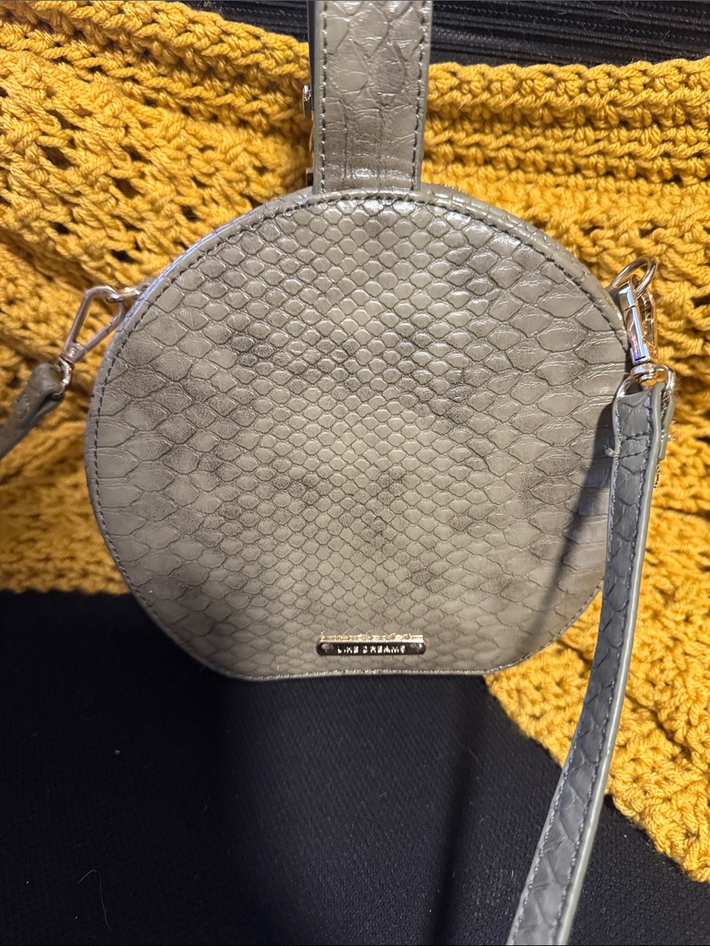 Stylish Gray Snake-Embossed Round Crossbody Bag